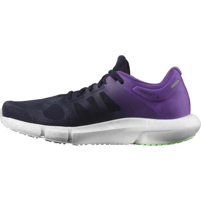 Navy / Purple Salomon Predict 2 Men's Running Shoes | IE RS2361